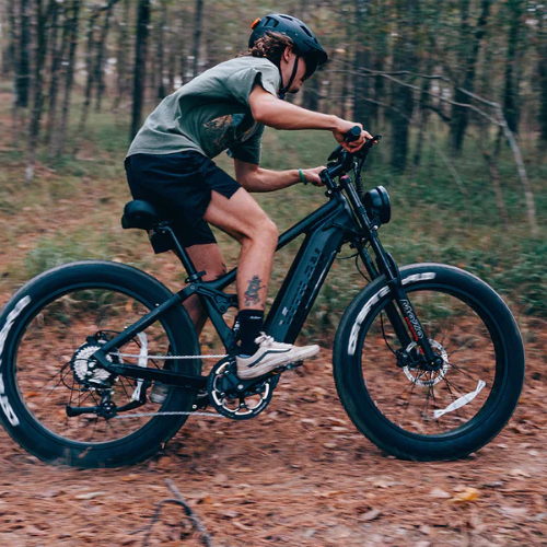 VeltrioN